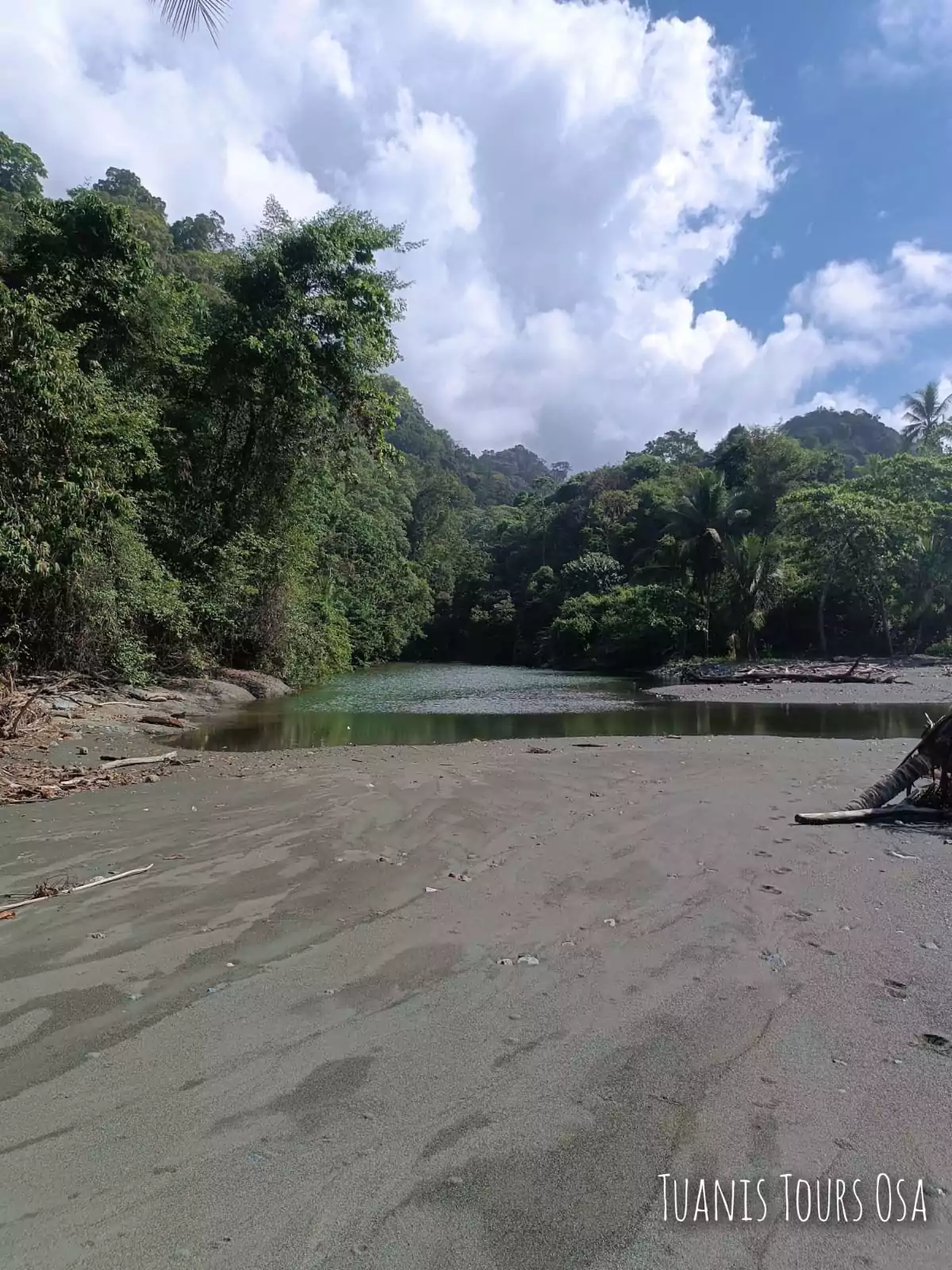 Caminata Parque Nacional Corcovado Sector La Leona