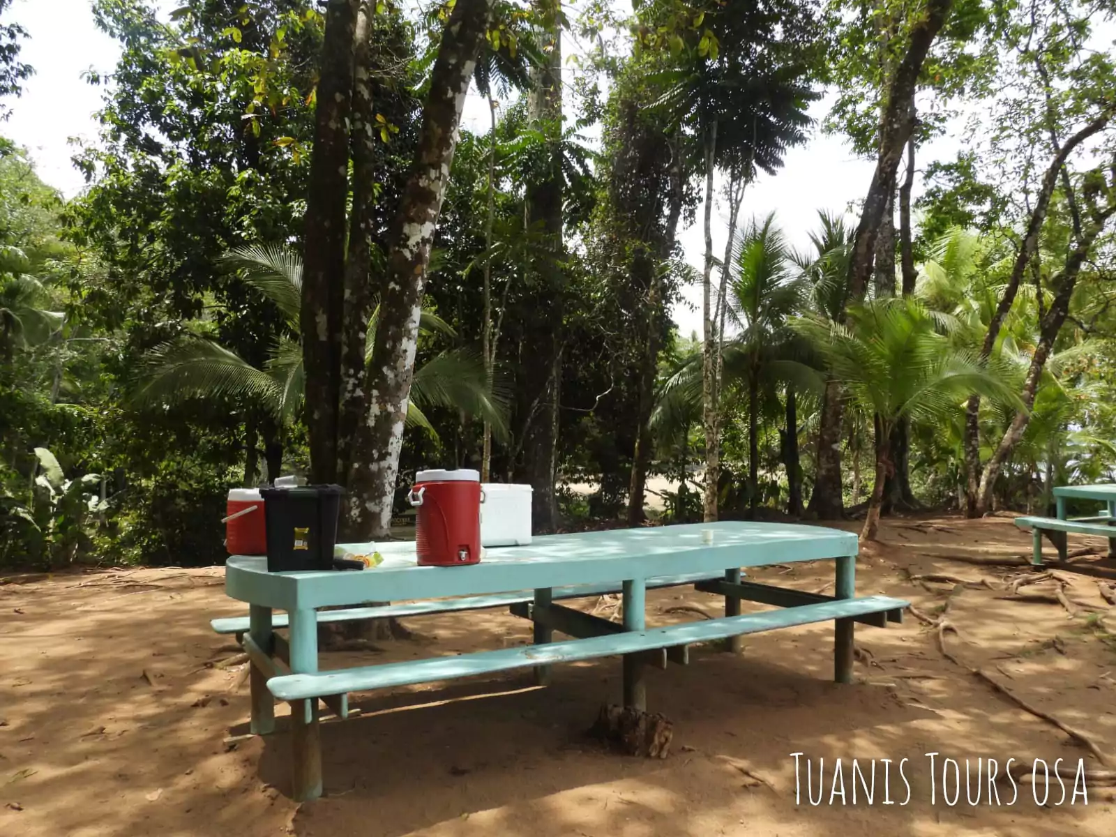 Parque Nacional Corcovado sector San Pedrillo