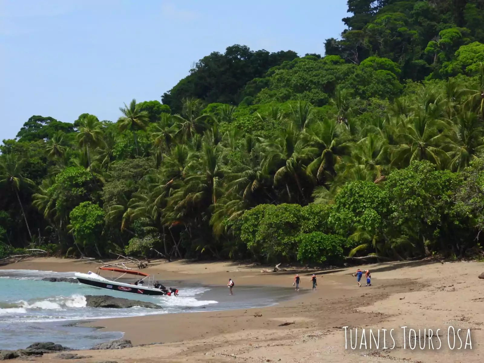 Parque Nacional Corcovado sector San Pedrillo